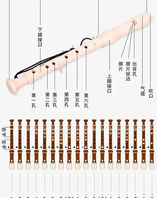 奇美高音德式竖笛6孔8孔初学入门儿童中小学生六孔八