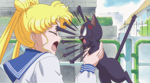 519_288gif 动态图 动图