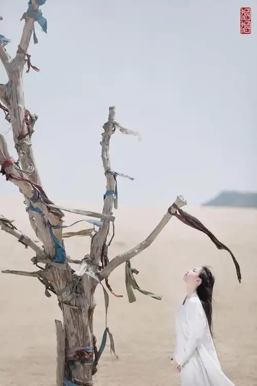 北方有佳人,绝世而独立. 一顾倾人城,再顾倾人国. 宁不知倾城与倾国?