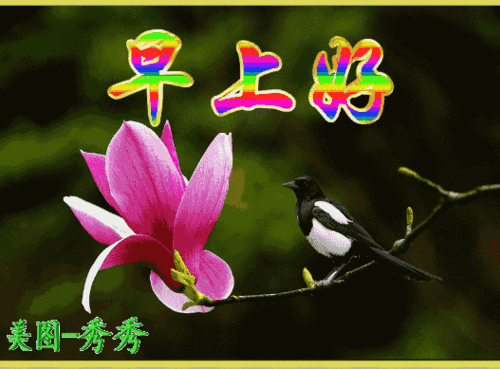 2019早上好问候语动态图片最美会闪动的动画早安祝福图片