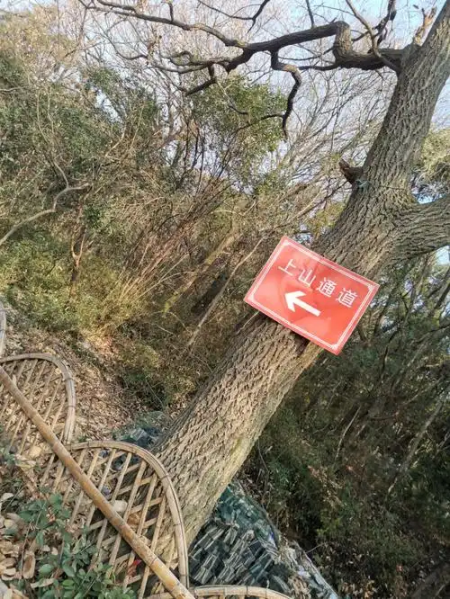 新手灵白线攻略