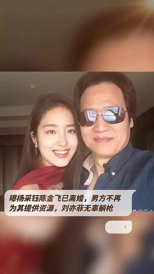 曝杨采钰陈金飞已离婚男方不再为其提供资源刘亦菲无辜躺枪