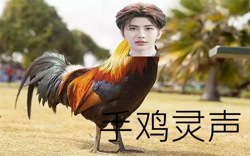 活动  鬼畜蔡徐坤手鸡灵声