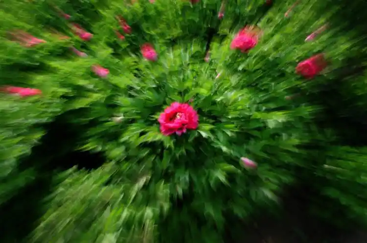 酷炫!摄影实战技巧,如何拍摄爆炸变焦效果