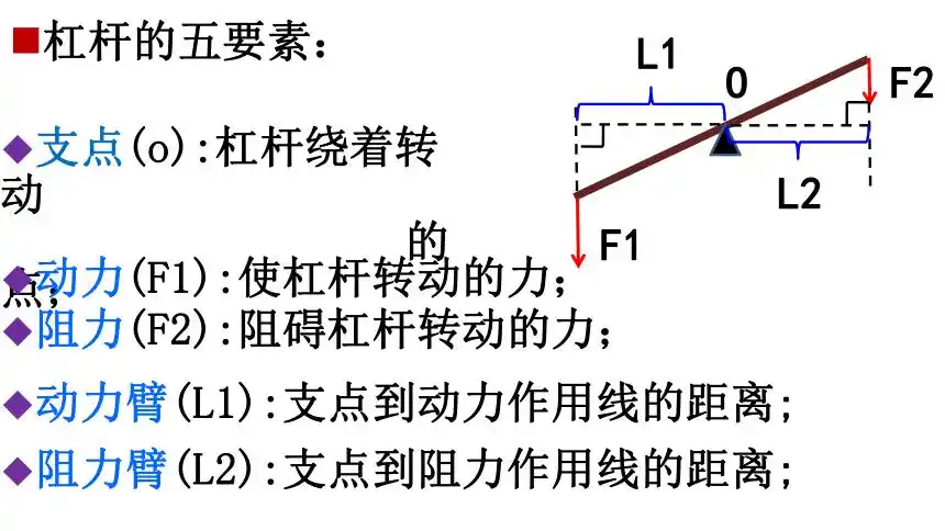 2022年沪粤版八年级物理下册65探究杠杆的平衡条件课件26张