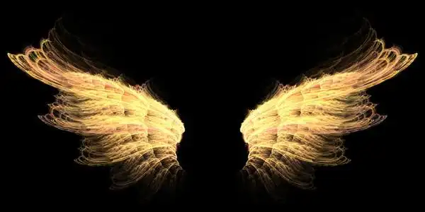 地狱触手小说地狱金翅膀照片