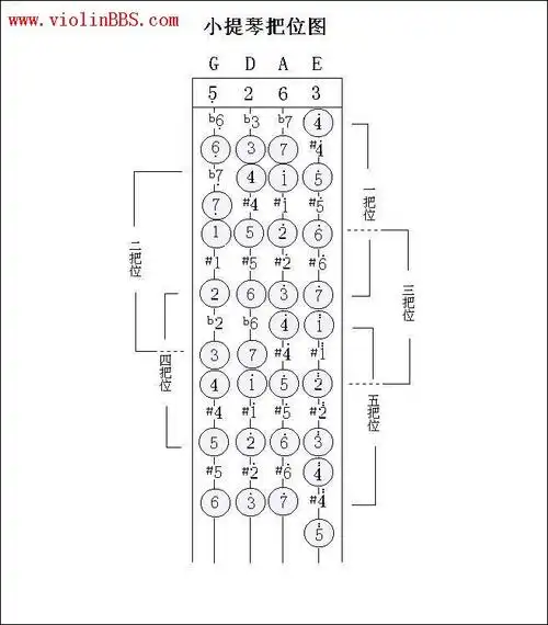 小提琴二三把按键在哪