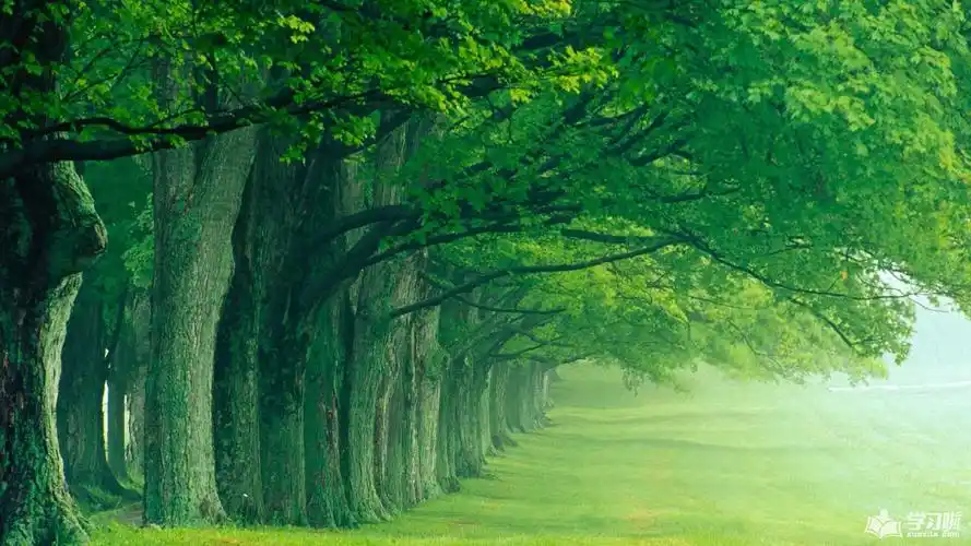 保护眼睛的壁纸图片