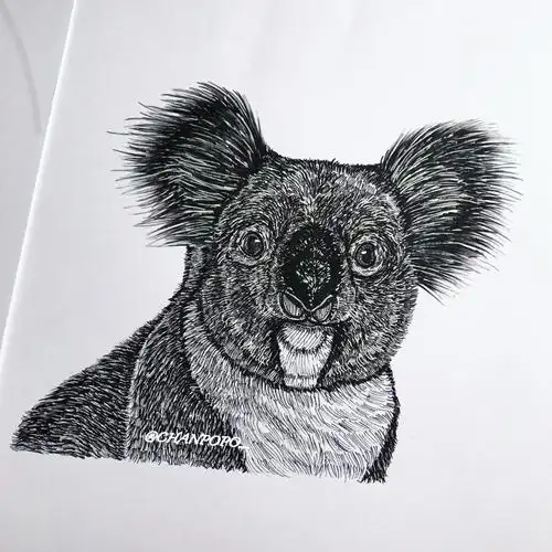 手绘 插画 黑白 线稿 简洁 怀旧 动物