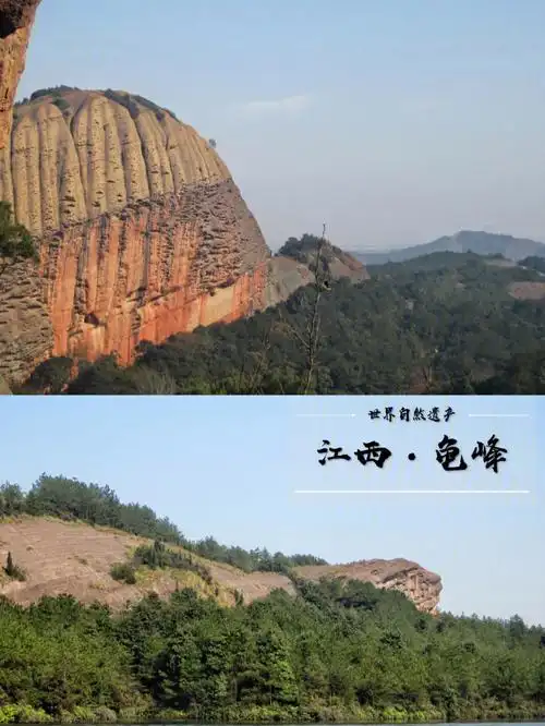 江西龟峰无山不龟无石不龟