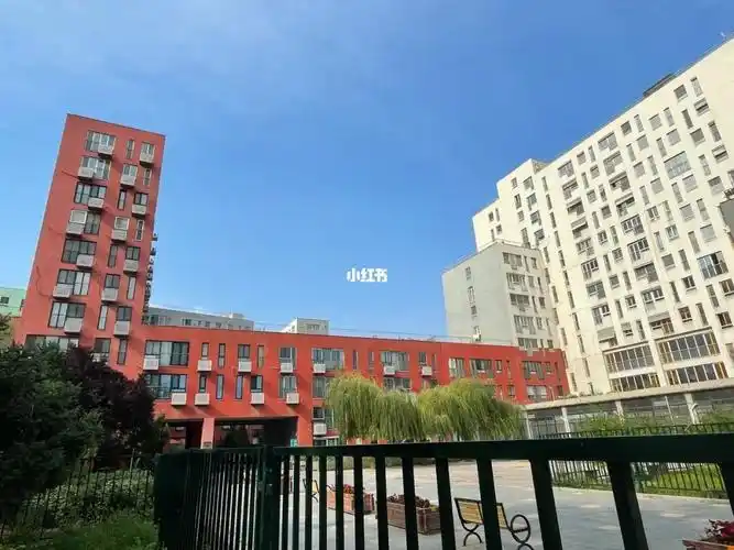 今日去家有儿女拍摄小区打卡啦