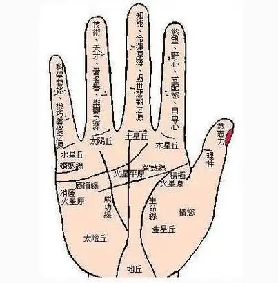 网上看到的如何看手相,大家可以参考一下自己啊5,20岁女生感情线看哪