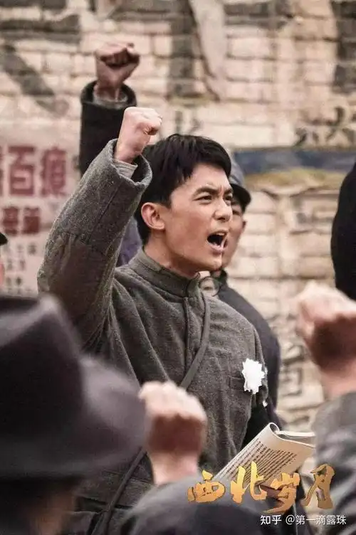 如何评价靳东于和伟主演的电视剧西北岁月