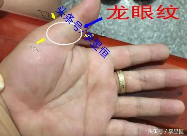 此纹与"凤眼纹,夫子眼"阴阳配合,此纹路越圆越大对运势越有好的帮扶.