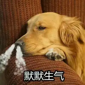 金毛狗狗默默生气发呆gif动图_动态图_表情包下载_soogif