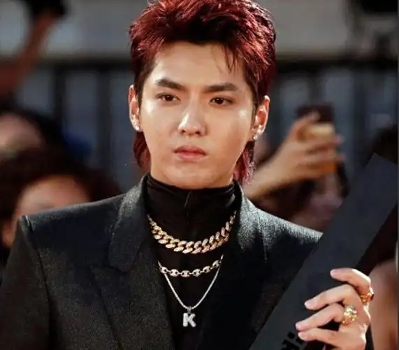 吴亦凡二审维持原判!13年附加驱逐出境,本人还面临巨额索赔