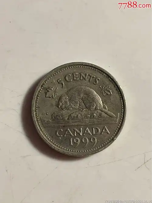 1999年加拿大硬币5分外国硬币