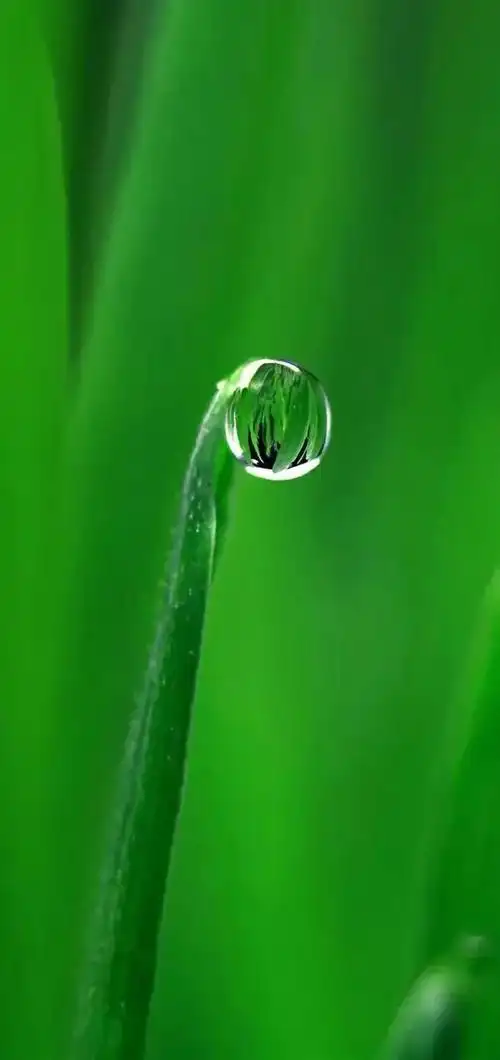 绿色对眼睛有好处,并不是指绿色本身对眼睛有什么好处,而是说远眺大