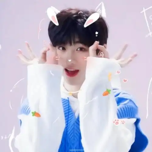 丁程鑫-猫说头像铺-话本小说网