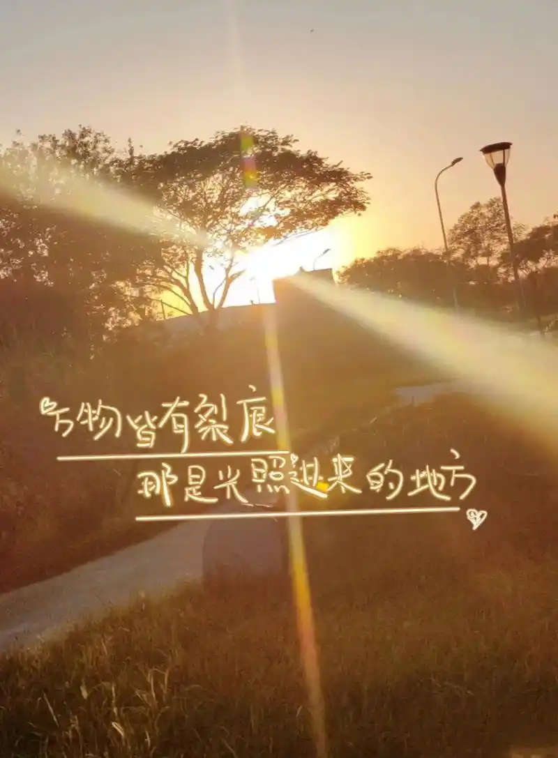 万物皆有裂痕,那才是光进来的地方!  我这一个月的陪伴温暖让 - 抖音