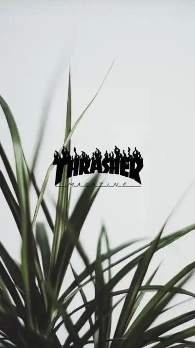 thrasher壁纸