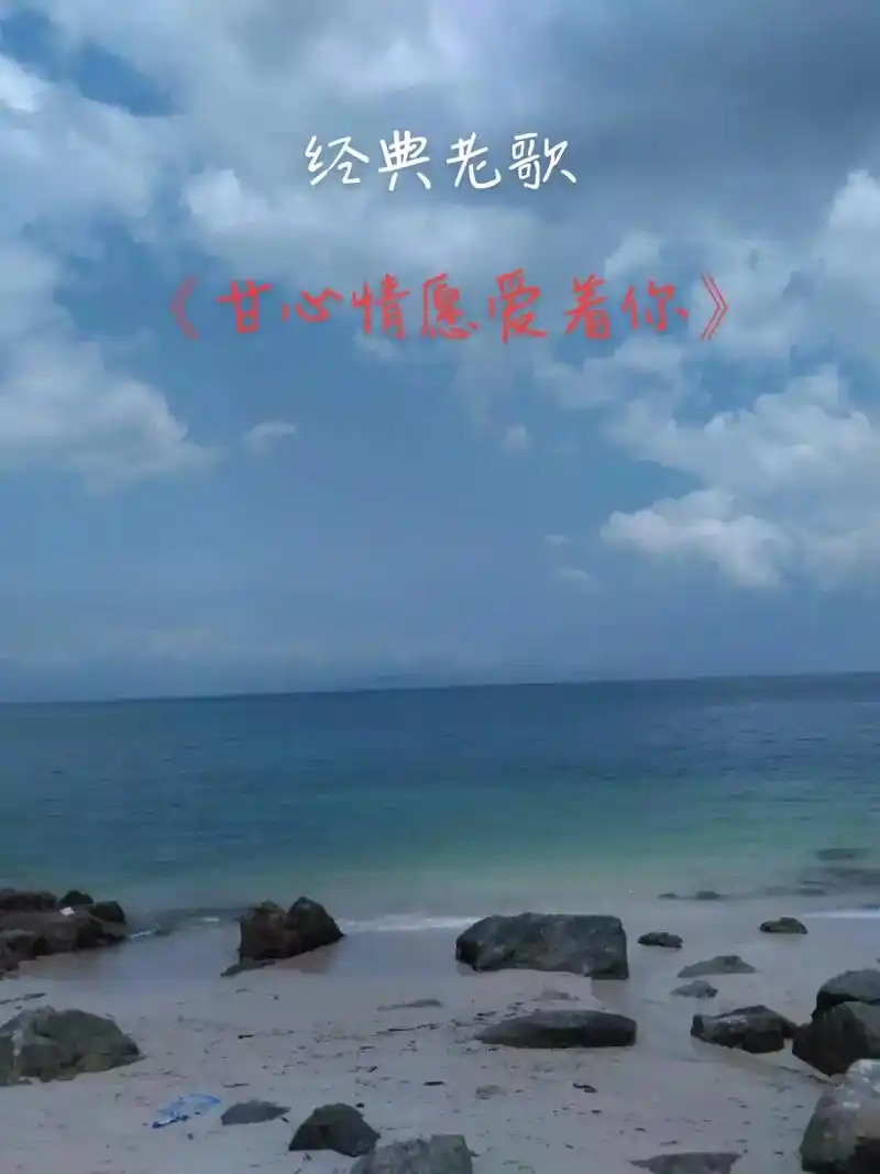 有首老歌,叫"甘心情愿";有句诗篇,叫"沧海桑田";有种色彩 - 抖音