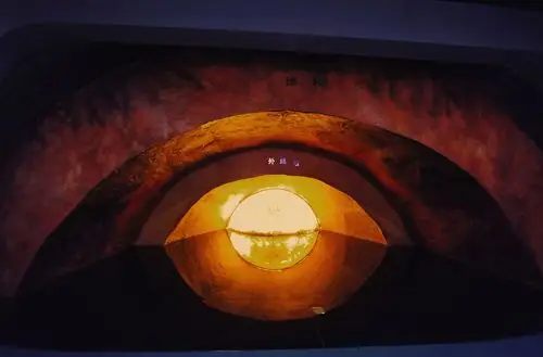 南京地质博物馆攻略,南京地质博物馆门票/游玩攻略/地址/图片/门票价