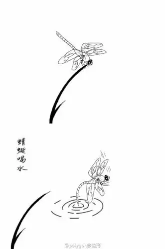 啥!蜻蜓点水是为了生娃?图文来自原创.