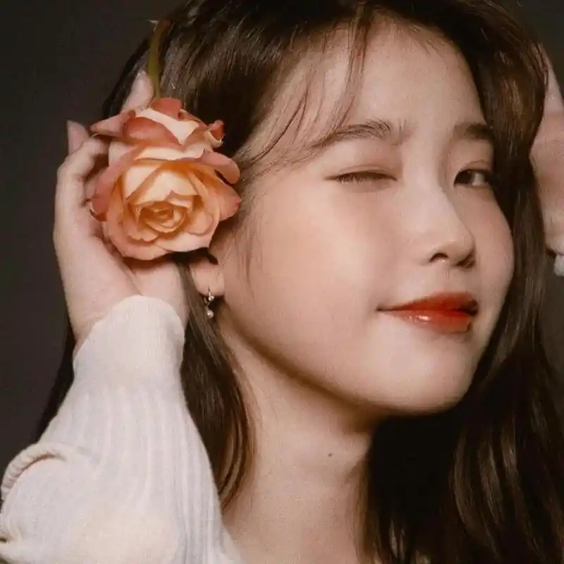 iu李知恩头像,爱了爱了