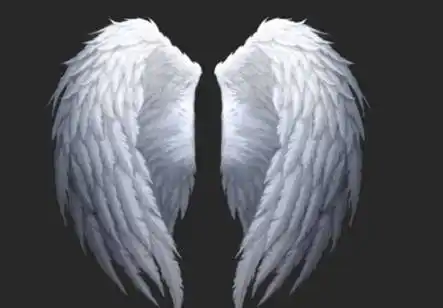 十二星座专属天使翅膀狮子座超炫酷天蝎座最梦幻