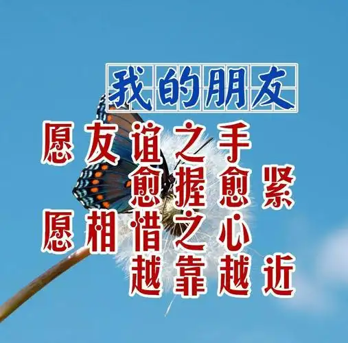 真诚相待的每位朋友,珍惜这一生!