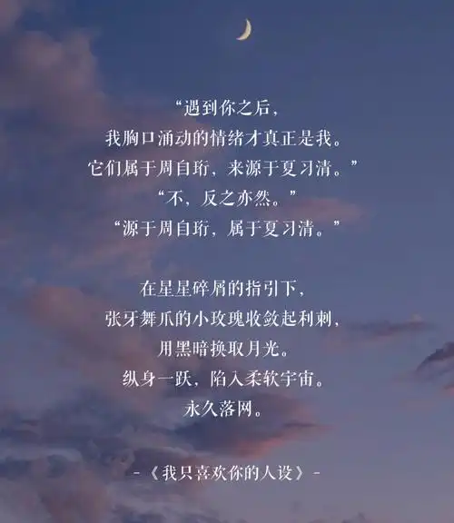《我只喜欢你的人设》