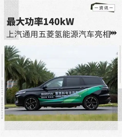 上汽通用五菱在2019年启动了氢燃料电池汽车的开发工作,并于2020年