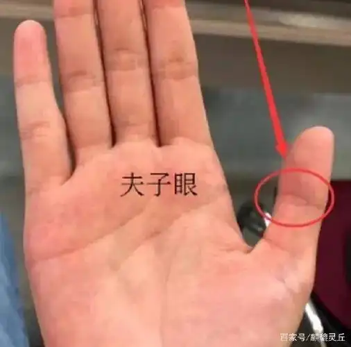 俗话"虎口夫子眼,必定考状元",是什么意思?夫子眼指的是什么