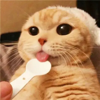 很萌的小动物微信头像 微信头像动物图片大全集