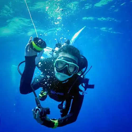 我和小蜂的蜜月潜水旅行——潜水头像征集活动