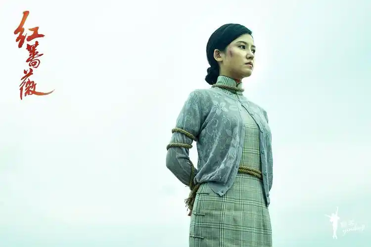 《红蔷薇》收官! 杨子姗:眼泪是真实存在