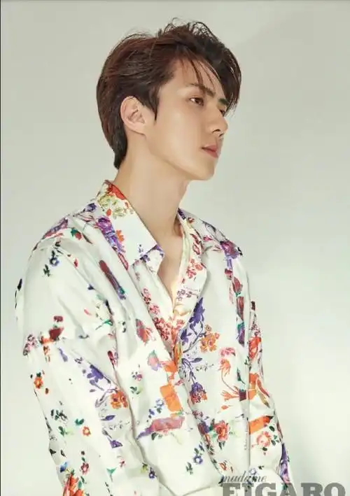 帅哥壁纸:韩国男明星吴世勋《figaro世界》封面图片-小虾米