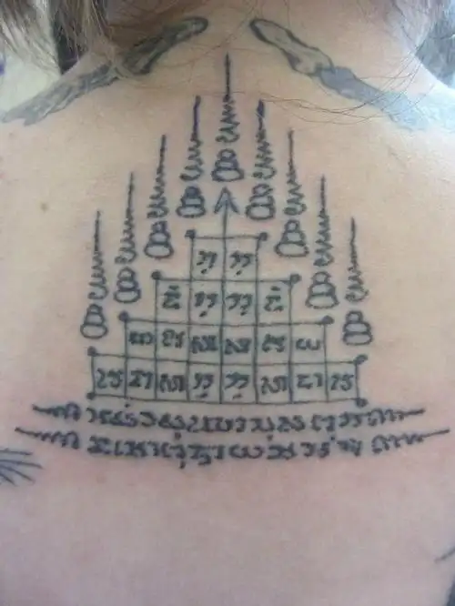 求张歆艺后背纹身的 九塔信运符 大图!