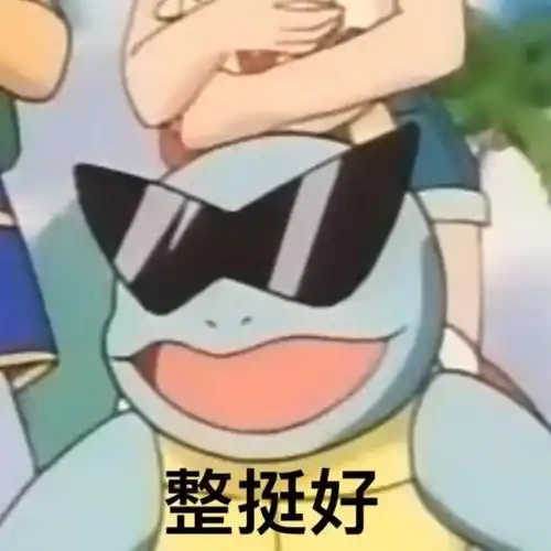 整挺好杰尼龟表情包杰尼龟整挺表情