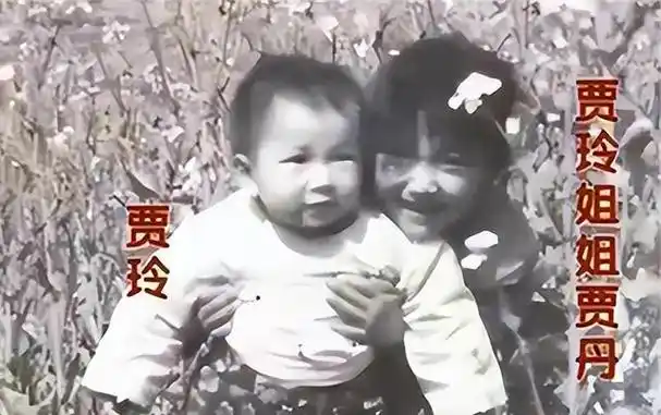 瘦身成功,主动放弃喜剧!事实证明,贾玲走上了另一条大路