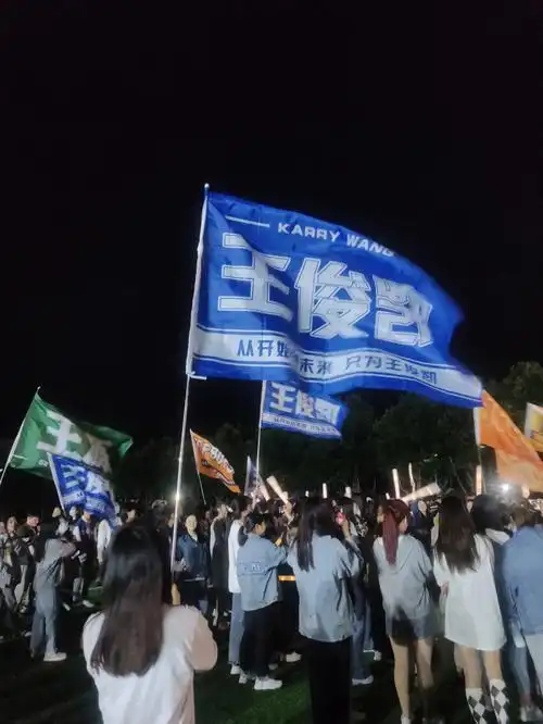 为王俊凯举大旗#王俊凯  #从开始到未来只为王俊凯  #王俊凯重生之门