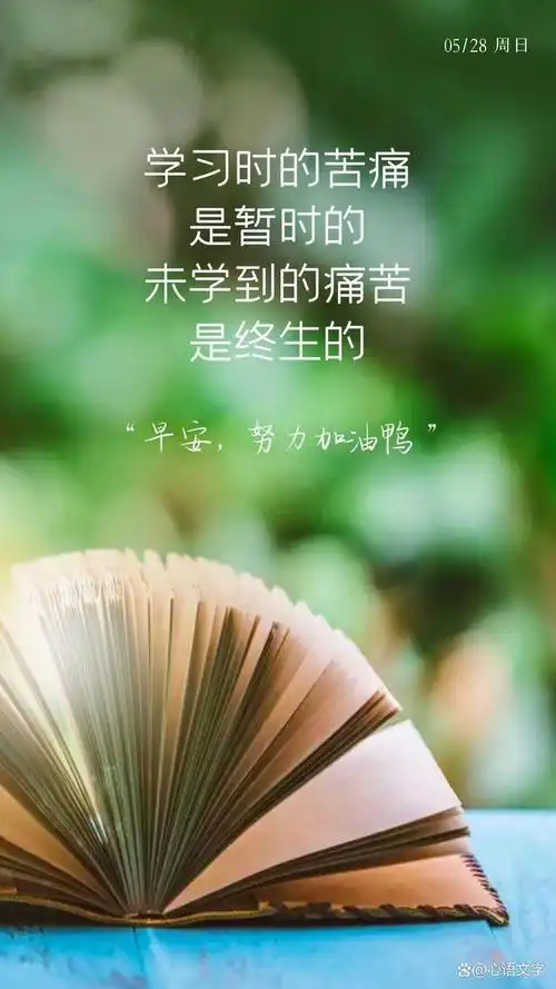 早安励志图片文案语录:请你继续加油,努力的人比谁都可爱!