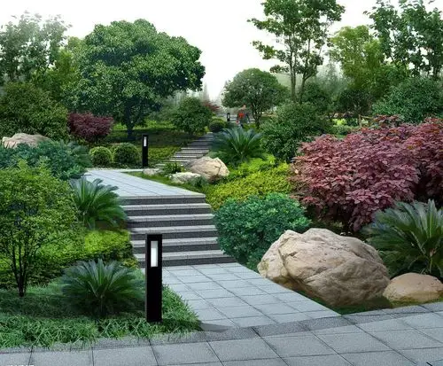 园林景观工程树木移植,景观设计的精巧活