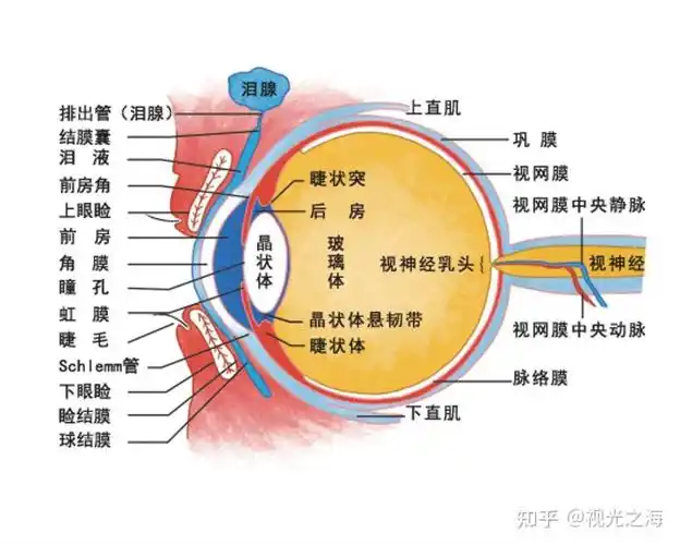 视光之海:裸眼3d视觉训练仪,近视防控"黑科技"了解下