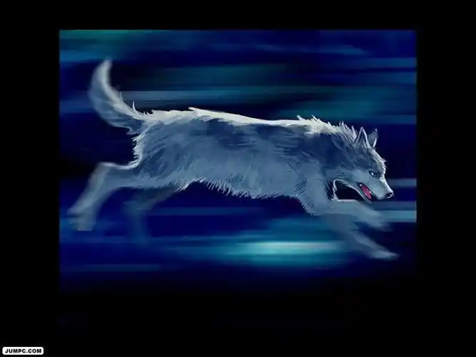 男人一定要有狼性,野心_汕头发展_蓝色河畔 - powered by discuz!