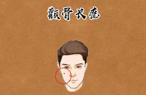 颧骨长痣"颧"骨中的颧,与权力的权同音,在事业上代表的是一个人的权利