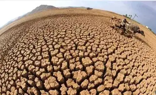 这不是人类拯救地球的问题而是人类在拯救自己