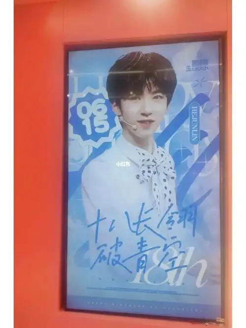 贺峻霖十八岁应援打卡微店