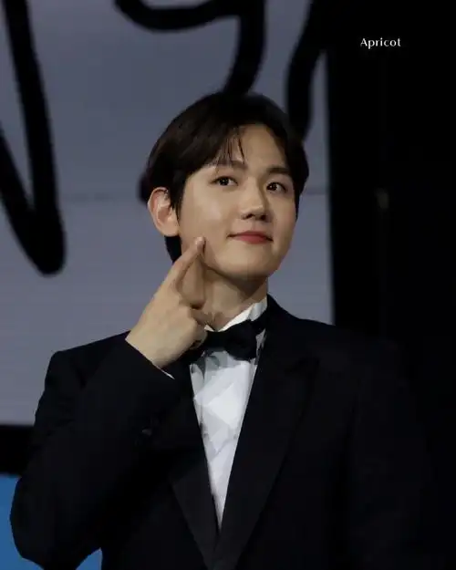 #边伯贤费加罗封面##边伯贤#